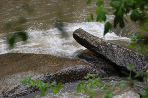 The river. Photograph and copyright by Barbara Mattio, 2016