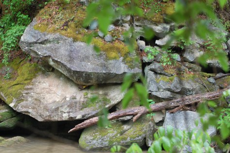 River rock. Photograph and copyright by Barbara Mattio, 2016
