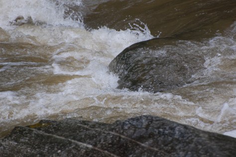 In places it rushes by. Photograph and copyright by Barbara Mattio, 2016