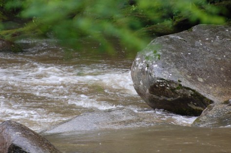 The river flows through it. Photograph and copyright by Barbara Mattio, 2016