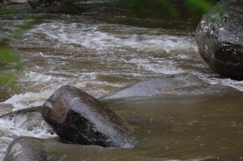 River swirls. Photograph and copyright by Barbara Mattio, 2016