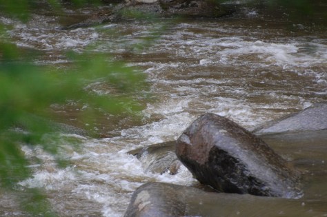 The river rambles through the mountains. Photograph and copyright by Barbara Mattio, 2016