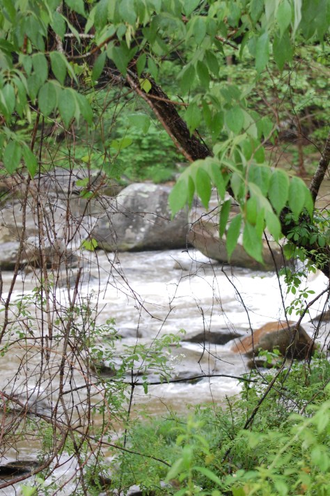 The River. Photograph and copyright by Barbara Mattio, 2016
