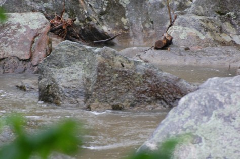 Huge rocks. Photograph and copyright by Barbara Mattio, 2016