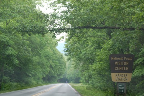 Entering Pigsah National Forest. Photograph and copyright by Barbara Mattio, 2016