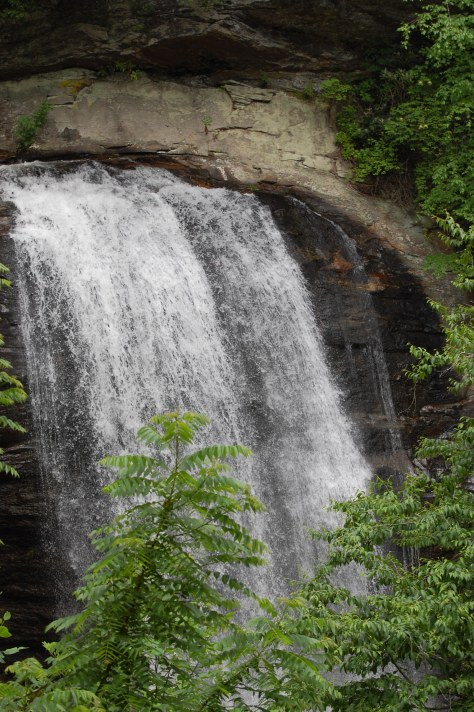 Looking Glass Falls, Pisgah National Forest. Photograph and copyright by Barbara Mattio, 2016