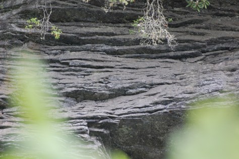 The Looking Glass pool. Photograph and copyright by Barbara Mattio, 2016