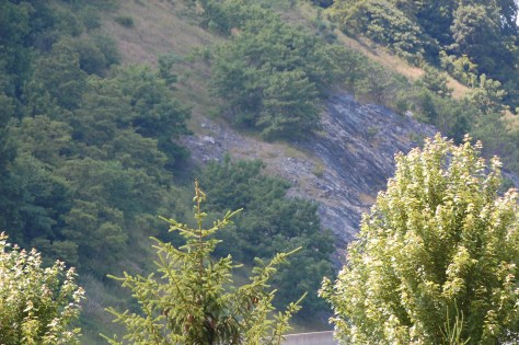 Photograph and copyright by Barbara Mattio, 2016