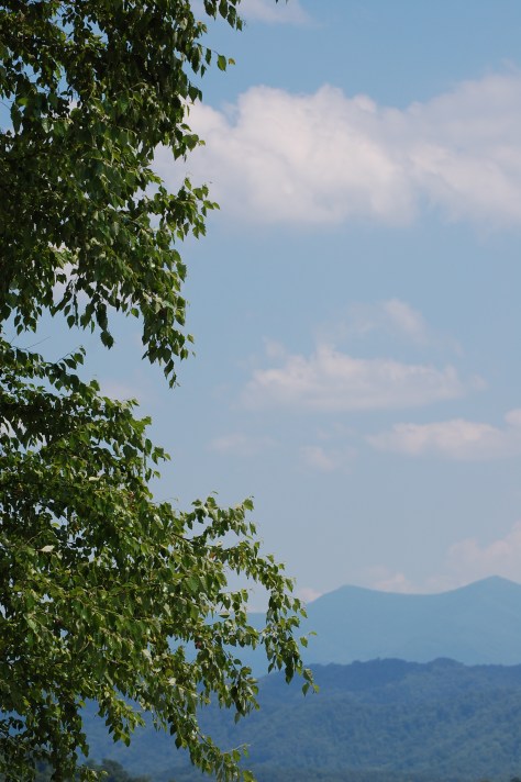 Photograph and copyright by Barbara Mattio,2016