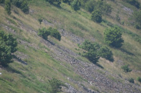 Photograph and copyright by Barbara Mattio, 2016