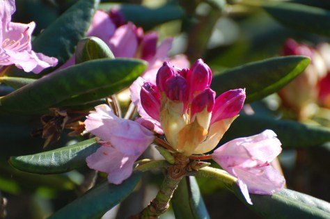 photograph and copyright by Barbara Mattio, 2016