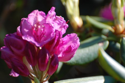 Photograph and copyright by Barbara Mattio, 2016