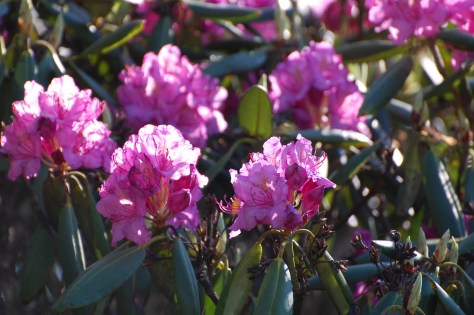 Photograph and copyright by Barbara Mattio, 2016