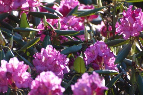 Breath-taking. Photograph and copyright by Barbara Mattio, 2016