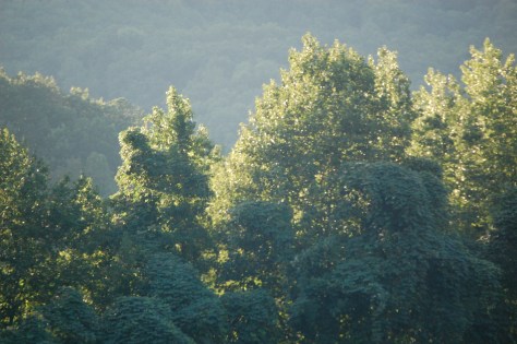 Sun getting lower in the sky and early evening arrives. Photograph and copyright by Barbara Matttio 2016