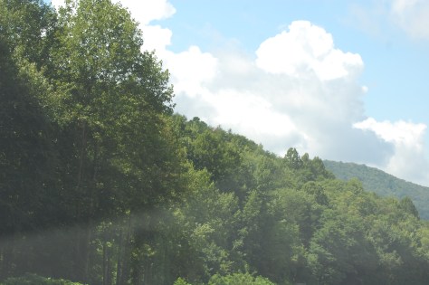 This was from the trip down to Greeneville. Photograph and copyright by Barbara Mattio 2016