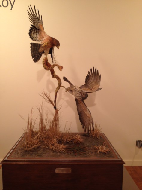 Sculpture. Photograph and copyright by Barbara Mattio 2016