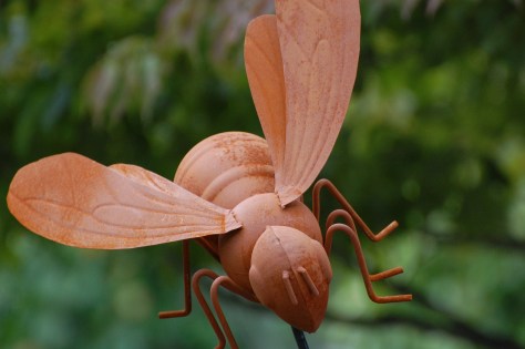 The Impostor. Photograph and copyright by Barbara Matttio, 2016