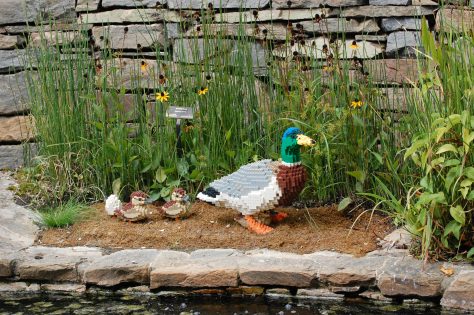 Lego duck family. Photograph and copyright by Barbara Mattio,2016