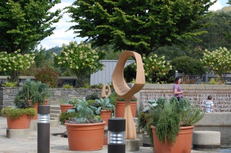 Container garden. Photograph and copyright by Barbara Mattio, 2016
