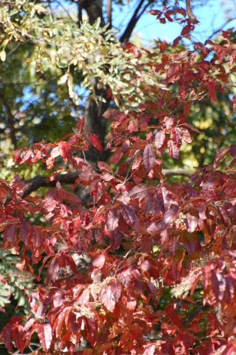 All photographs taken and copyrighted by Barbara Mattio, 2016