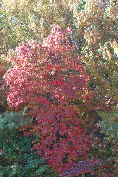 All photographs taken and copyrighted by Barbara Mattio, 2016