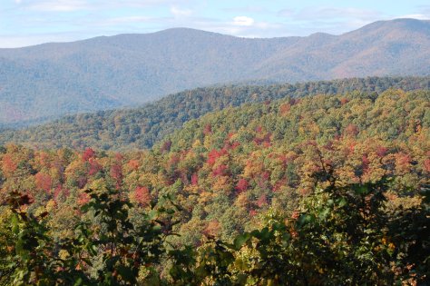 All photographs taken and copyrighted by Barbara Mattio, 2016