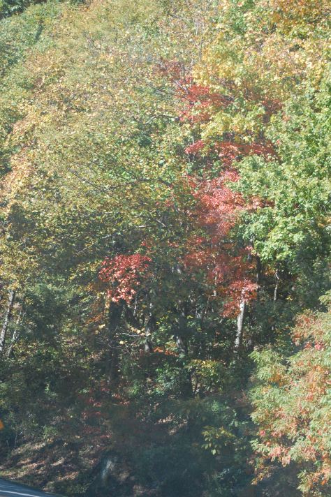 All photographs taken and copyrighted by Barbara Mattio, 2016