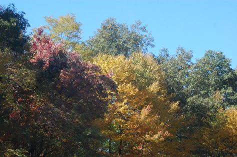 All photographs taken and copyrighted by Barbara Mattio, 2016