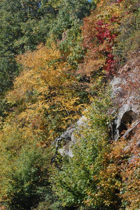 All photographs taken and copyrighted by Barbara Mattio, 2016