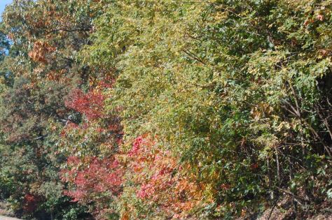 All photographs taken and copyrighted by Barbara Mattio, 2016