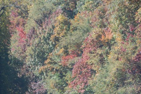 All photographs taken and copyrighted by Barbara Mattio, 2016