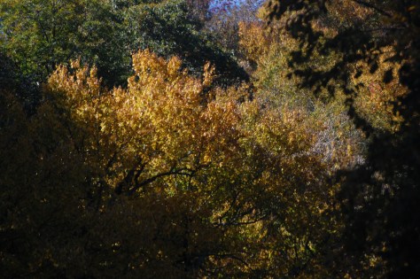 All photographs taken and copyrighted by Barbara Mattio, 2016