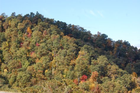 All photographs taken and copyrighted by Barbara Mattio, 2016