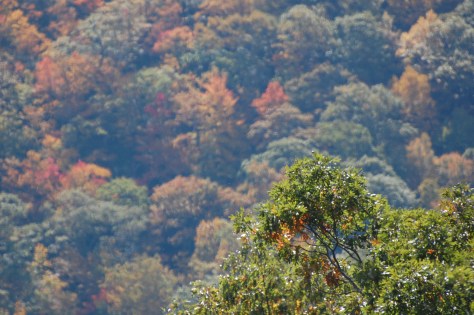 All photographs taken and copyrighted by Barbara Mattio, 2016