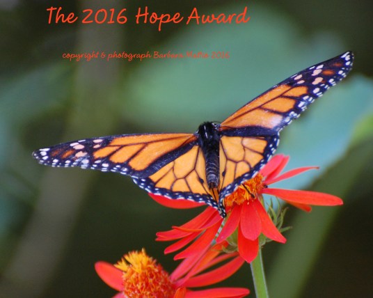 2016-hope-award