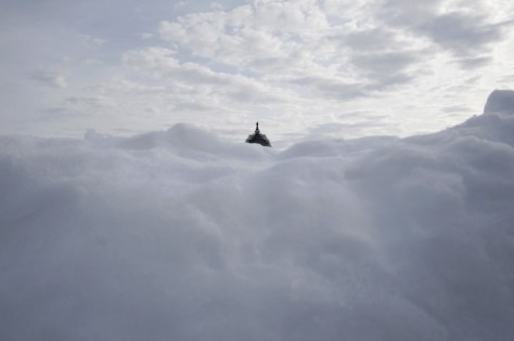 The U.S. Capitol dome can be seen behind piles of snow removed from parking areas and walkways around the Capitol grounds on January 26. The Washington area was resuming partial business on Tuesday as trains and buses restarted near-normal service, while federal offices remained closed following the massive blizzard that hammered the U.S. East Coast. REUTERS