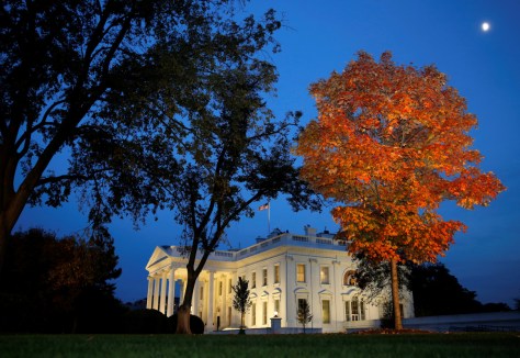 A tree is awash in autumn color as the moon rises over the White House on election night, November 08. REUTERS
